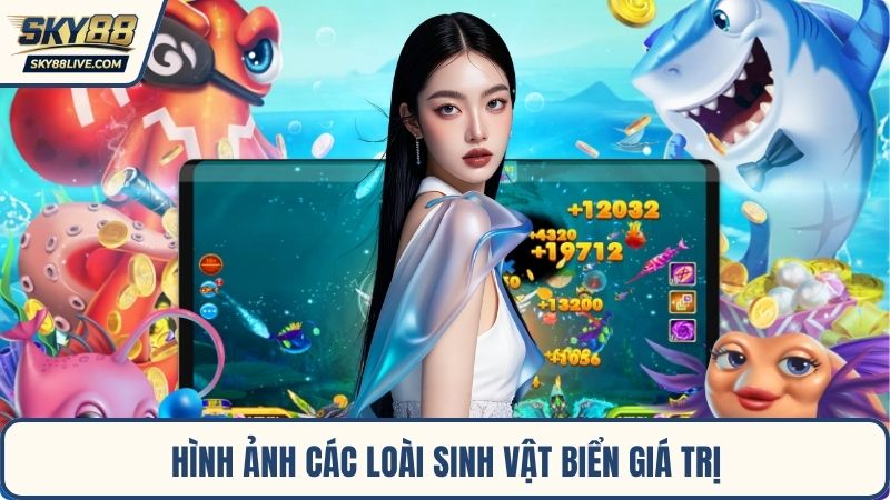 Hình ảnh các loài sinh vật biển giá trị